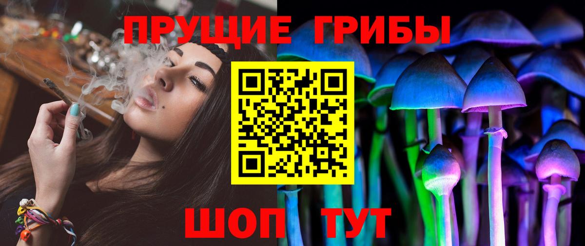 Галлюциногенные грибы Psilocybine cubensis  Вход с VPN  Галлюциногенные грибы мухоморы  Киров 