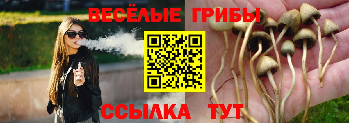 Галлюциногенные грибы Cubensis Киров
